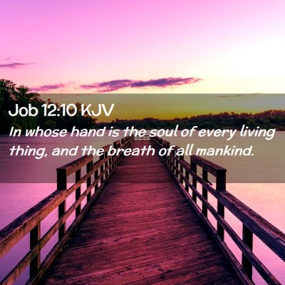 Picture 02 - Job 12:10 KJV - In whose hand is the soul of every living thing, - Bible Verse Picture