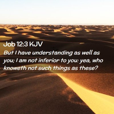 Picture 02 - Job 12:3 KJV - But I have understanding as well as you; I am not - Bible Verse Picture