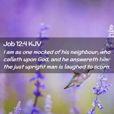 Picture 02 - Job 12:4 KJV - I am as one mocked of his neighbour, who calleth - Bible Verse Picture