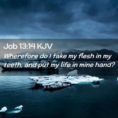 Picture 02 - Job 13:14 KJV - Wherefore do I take my flesh in my teeth, and put - Bible Verse Picture
