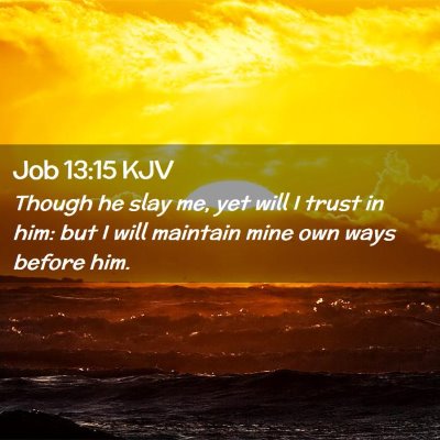 Picture 02 - Job 13:15 KJV - Though he slay me, yet will I trust in him: but I - Bible Verse Picture