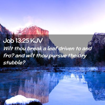 Picture 02 - Job 13:25 KJV - Wilt thou break a leaf driven to and fro? and - Bible Verse Picture