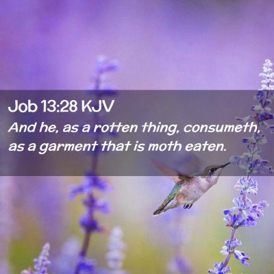 Picture 02 - Job 13:28 KJV - And he, as a rotten thing, consumeth, as a - Bible Verse Picture