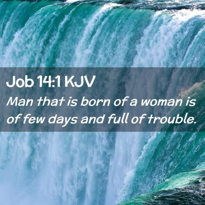 Picture 02 - Job 14:1 KJV - Man that is born of a woman is of few days and - Bible Verse Picture