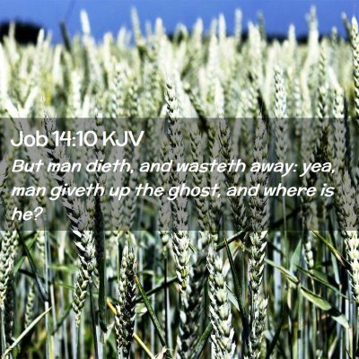 Picture 02 - Job 14:10 KJV - But man dieth, and wasteth away: yea, man giveth - Bible Verse Picture