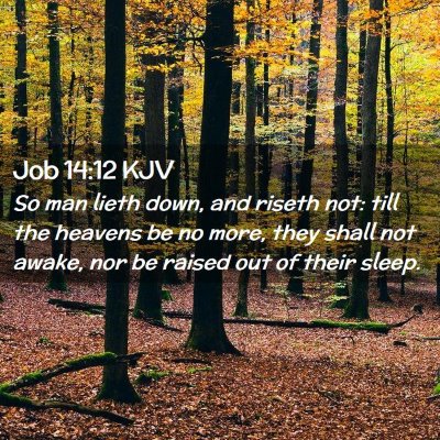 Picture 02 - Job 14:12 KJV - So man lieth down, and riseth not: till the - Bible Verse Picture
