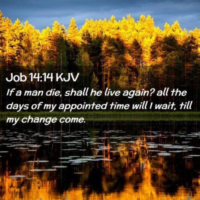 Picture 02 - Job 14:14 KJV - If a man die, shall he live again? all the days - Bible Verse Picture