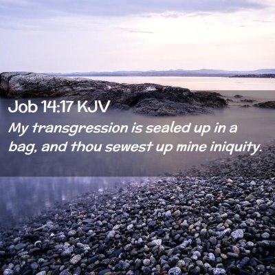 Picture 02 - Job 14:17 KJV - My transgression is sealed up in a bag, and thou - Bible Verse Picture
