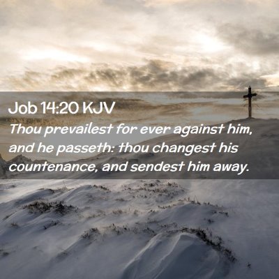 Picture 02 - Job 14:20 KJV - Thou prevailest for ever against him, and he - Bible Verse Picture
