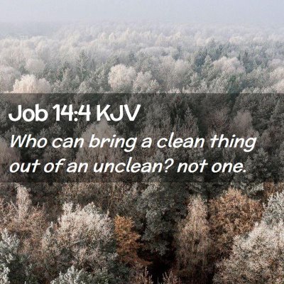 Picture 02 - Job 14:4 KJV - Who can bring a clean thing out of an unclean? - Bible Verse Picture