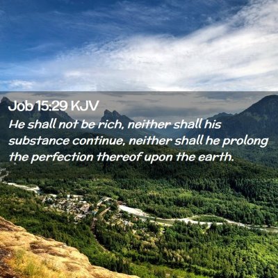 Picture 02 - Job 15:29 KJV - He shall not be rich, neither shall his substance - Bible Verse Picture