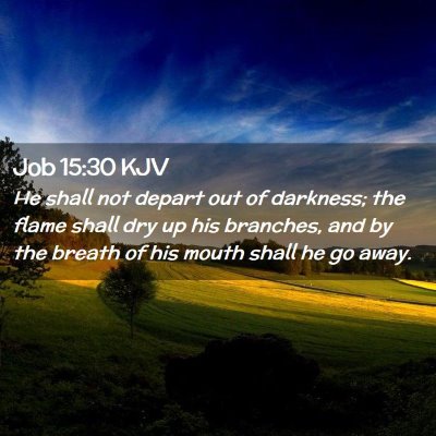 Picture 02 - Job 15:30 KJV - He shall not depart out of darkness; the flame - Bible Verse Picture