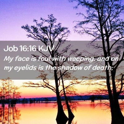 Picture 02 - Job 16:16 KJV - My face is foul with weeping, and on my eyelids - Bible Verse Picture