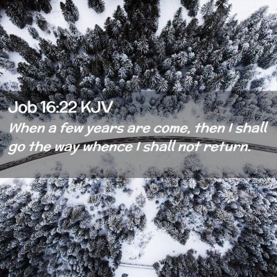 Picture 02 - Job 16:22 KJV - When a few years are come, then I shall go the - Bible Verse Picture