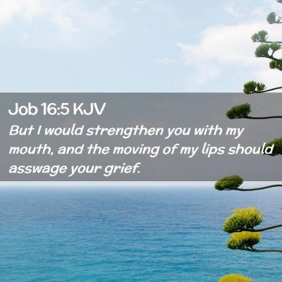 Picture 02 - Job 16:5 KJV - But I would strengthen you with my mouth, and the - Bible Verse Picture