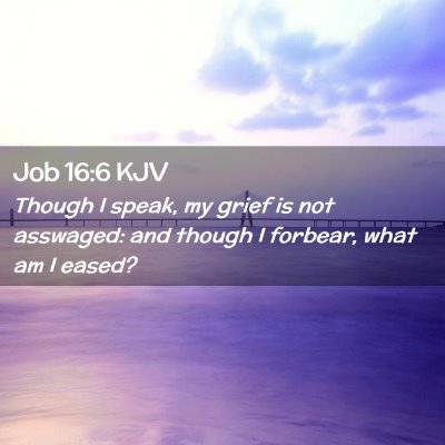 Picture 02 - Job 16:6 KJV - Though I speak, my grief is not asswaged: and - Bible Verse Picture
