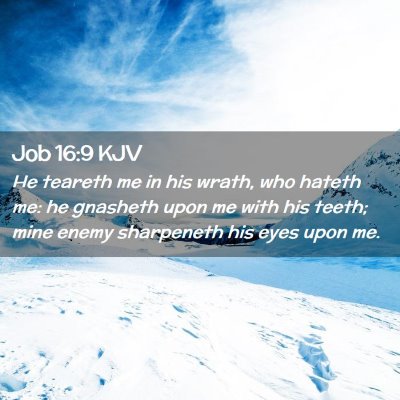 Picture 02 - Job 16:9 KJV - He teareth me in his wrath, who hateth me: he - Bible Verse Picture