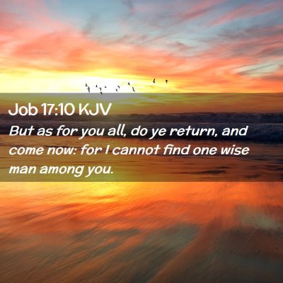 Picture 02 - Job 17:10 KJV - But as for you all, do ye return, and come now: - Bible Verse Picture