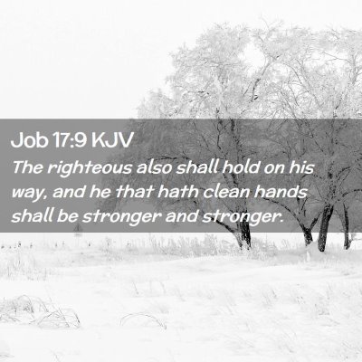 Picture 02 - Job 17:9 KJV - The righteous also shall hold on his way, and he - Bible Verse Picture