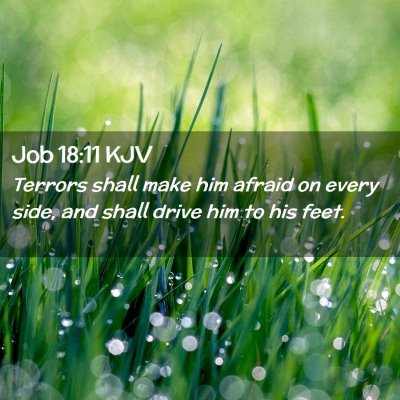 Picture 02 - Job 18:11 KJV - Terrors shall make him afraid on every side, and - Bible Verse Picture