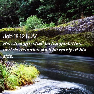 Picture 02 - Job 18:12 KJV - His strength shall be hungerbitten, and - Bible Verse Picture