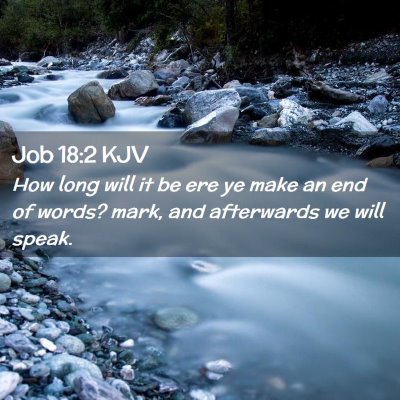 Picture 02 - Job 18:2 KJV - How long will it be ere ye make an end of words? - Bible Verse Picture