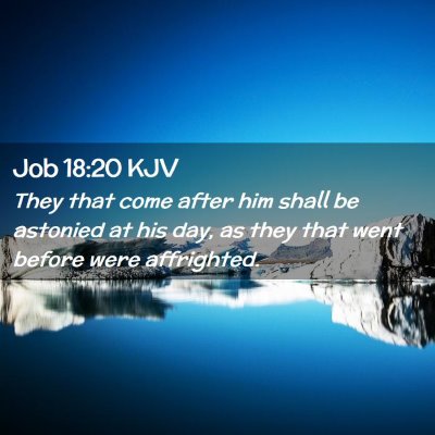 Picture 02 - Job 18:20 KJV - They that come after him shall be astonied at his - Bible Verse Picture