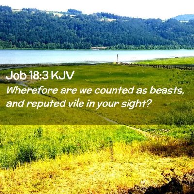 Picture 02 - Job 18:3 KJV - Wherefore are we counted as beasts, and reputed - Bible Verse Picture