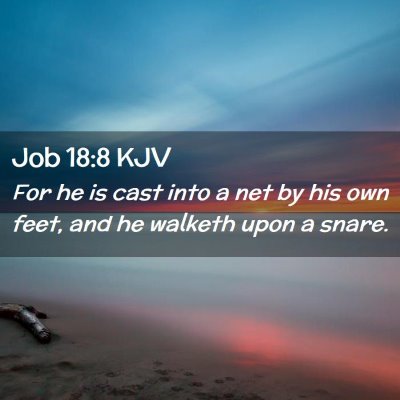 Picture 02 - Job 18:8 KJV - For he is cast into a net by his own feet, and he - Bible Verse Picture