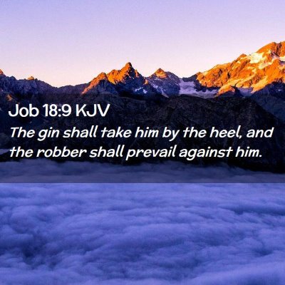 Picture 02 - Job 18:9 KJV - The gin shall take him by the heel, and the - Bible Verse Picture