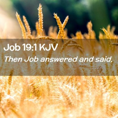 Picture 02 - Job 19:1 KJV - Then Job answered and - Bible Verse Picture