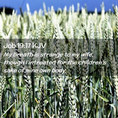 Picture 02 - Job 19:17 KJV - My breath is strange to my wife, though I - Bible Verse Picture