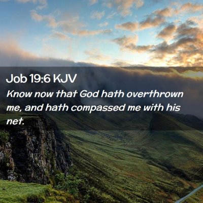 Picture 02 - Job 19:6 KJV - Know now that God hath overthrown me, and hath - Bible Verse Picture