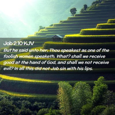 Picture 02 - Job 2:10 KJV - But he said unto her, Thou speakest as one of the - Bible Verse Picture