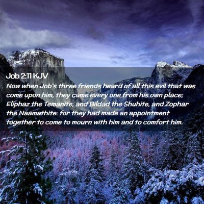 Picture 02 - Job 2:11 KJV - Now when Job's three friends heard of all this - Bible Verse Picture