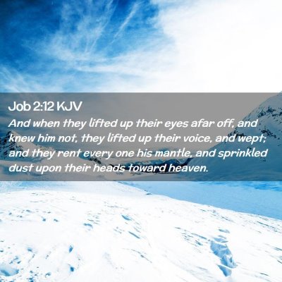 Picture 02 - Job 2:12 KJV - And when they lifted up their eyes afar off, and - Bible Verse Picture
