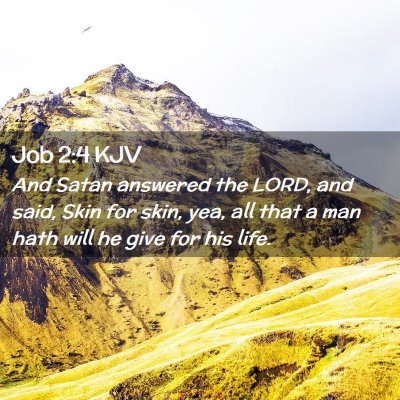 Picture 02 - Job 2:4 KJV - And Satan answered the LORD, and said, Skin for - Bible Verse Picture