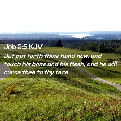 Picture 02 - Job 2:5 KJV - But put forth thine hand now, and touch his bone - Bible Verse Picture