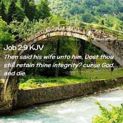 Picture 02 - Job 2:9 KJV - Then said his wife unto him, Dost thou still - Bible Verse Picture