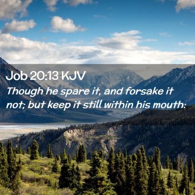 Picture 02 - Job 20:13 KJV - Though he spare it, and forsake it not; but keep - Bible Verse Picture