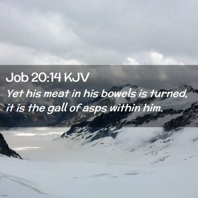 Picture 02 - Job 20:14 KJV - Yet his meat in his bowels is turned, it is the - Bible Verse Picture