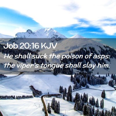 Picture 02 - Job 20:16 KJV - He shall suck the poison of asps: the viper's - Bible Verse Picture