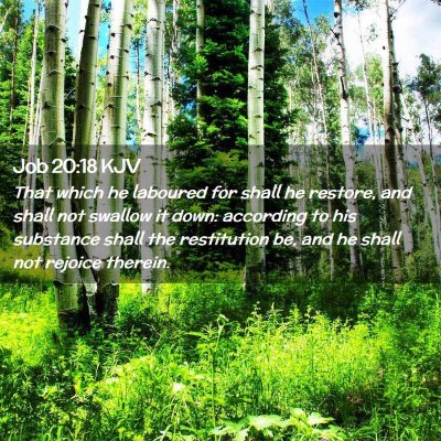 Picture 02 - Job 20:18 KJV - That which he laboured for shall he restore, and - Bible Verse Picture