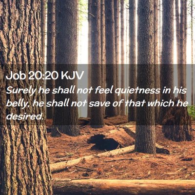 Picture 02 - Job 20:20 KJV - Surely he shall not feel quietness in his belly, - Bible Verse Picture