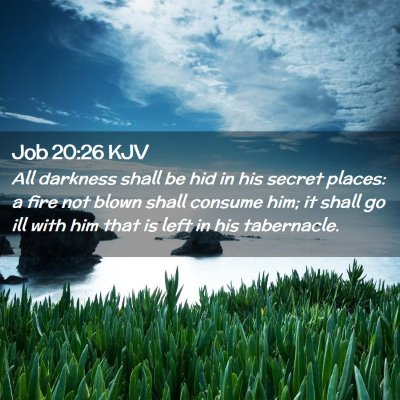 Picture 02 - Job 20:26 KJV - All darkness shall be hid in his secret places: a - Bible Verse Picture