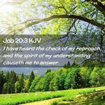 Picture 02 - Job 20:3 KJV - I have heard the check of my reproach, and the - Bible Verse Picture