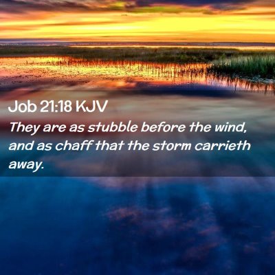 Picture 02 - Job 21:18 KJV - They are as stubble before the wind, and as chaff - Bible Verse Picture