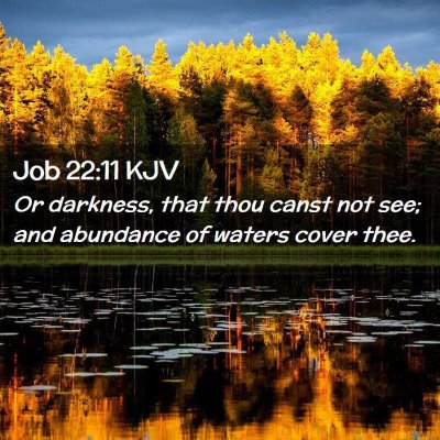 Picture 02 - Job 22:11 KJV - Or darkness, that thou canst not see; and - Bible Verse Picture