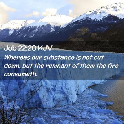 Picture 02 - Job 22:20 KJV - Whereas our substance is not cut down, but the - Bible Verse Picture