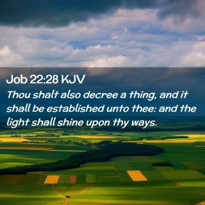 Picture 02 - Job 22:28 KJV - Thou shalt also decree a thing, and it shall be - Bible Verse Picture